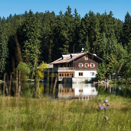 Apartament Haus Schreieck Klaudia Höfen Zewnętrze zdjęcie
